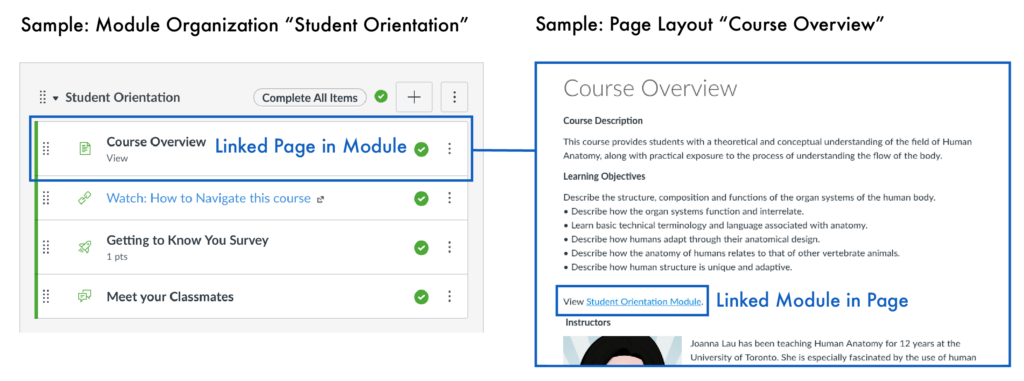 Samples of Module Organization (Student Orientation) and Page Layout (Course Overview)